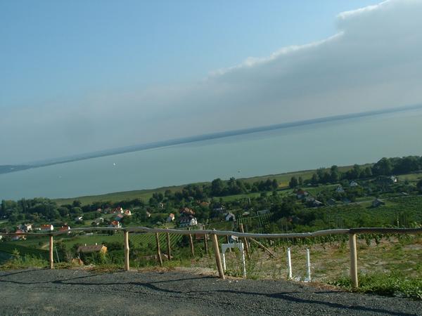 02-09-04-gyr 027