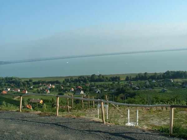 02-09-04-gyr 047