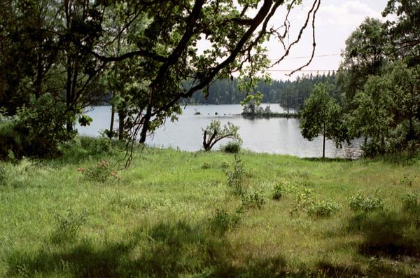 A12_13