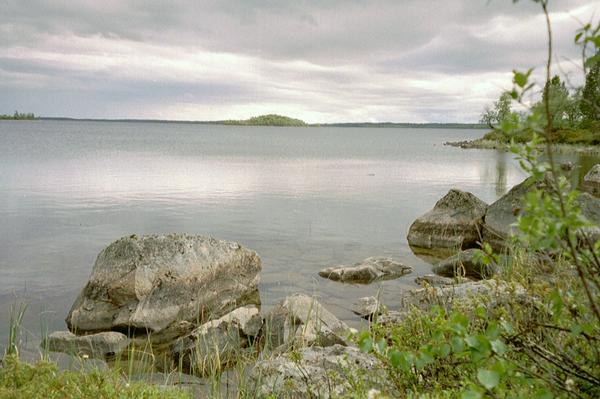 imm037