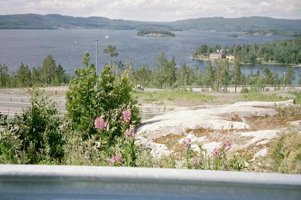 imm016