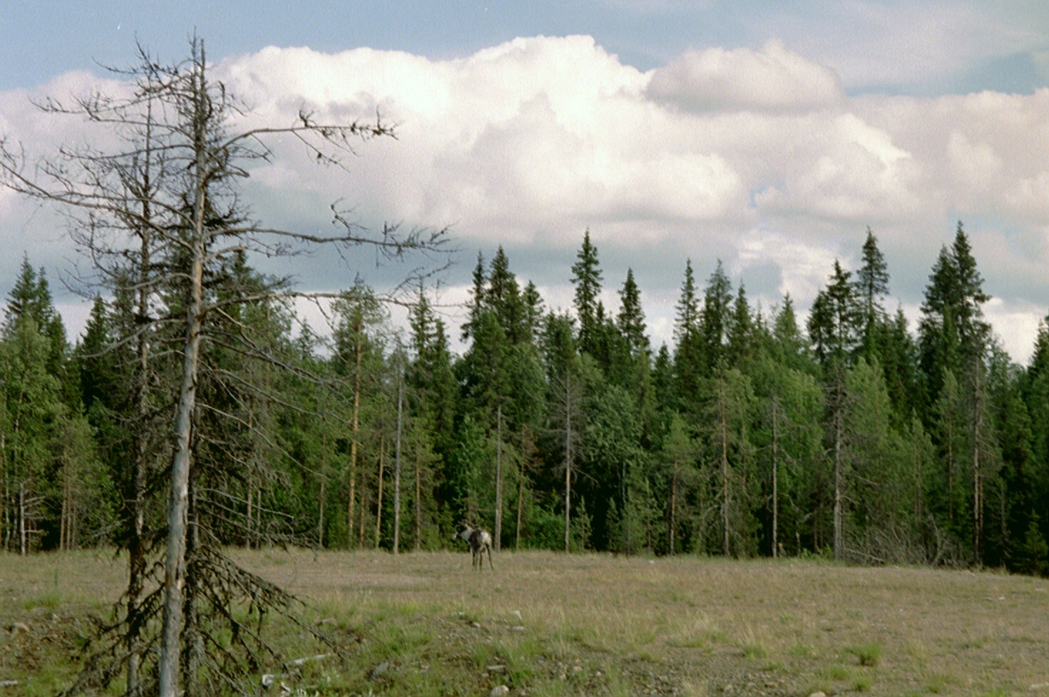 imm022