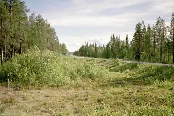 imm024