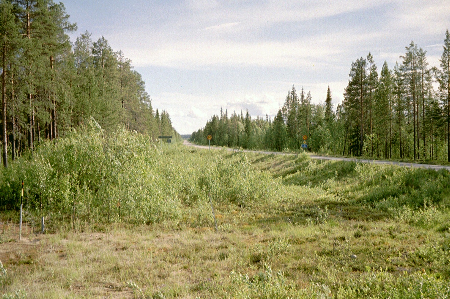 imm024