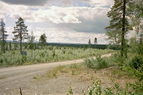 imm034