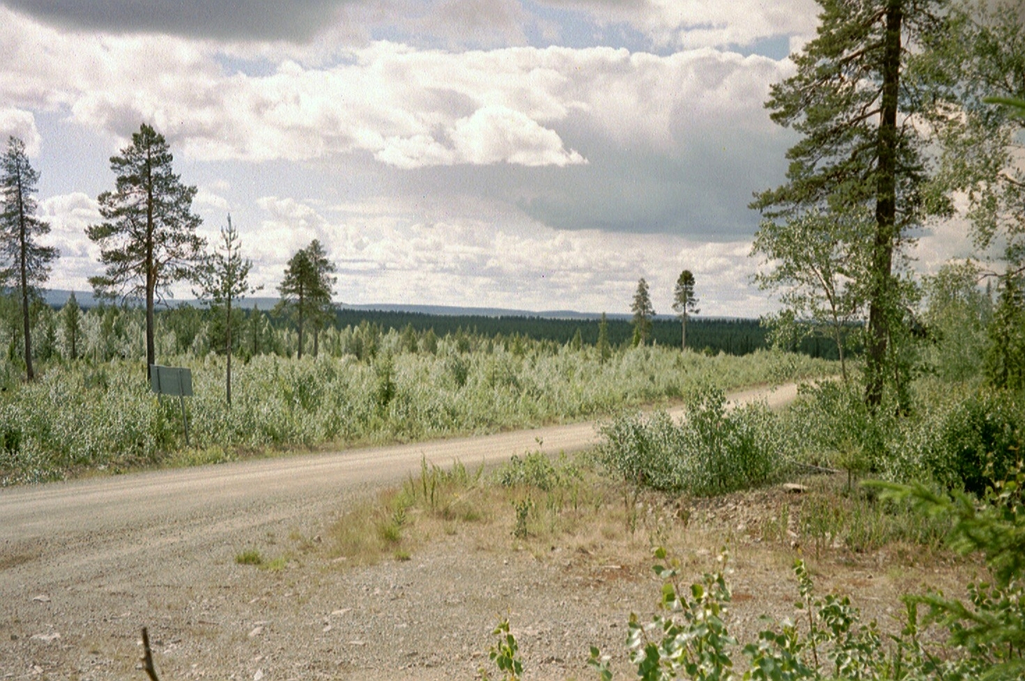 imm034