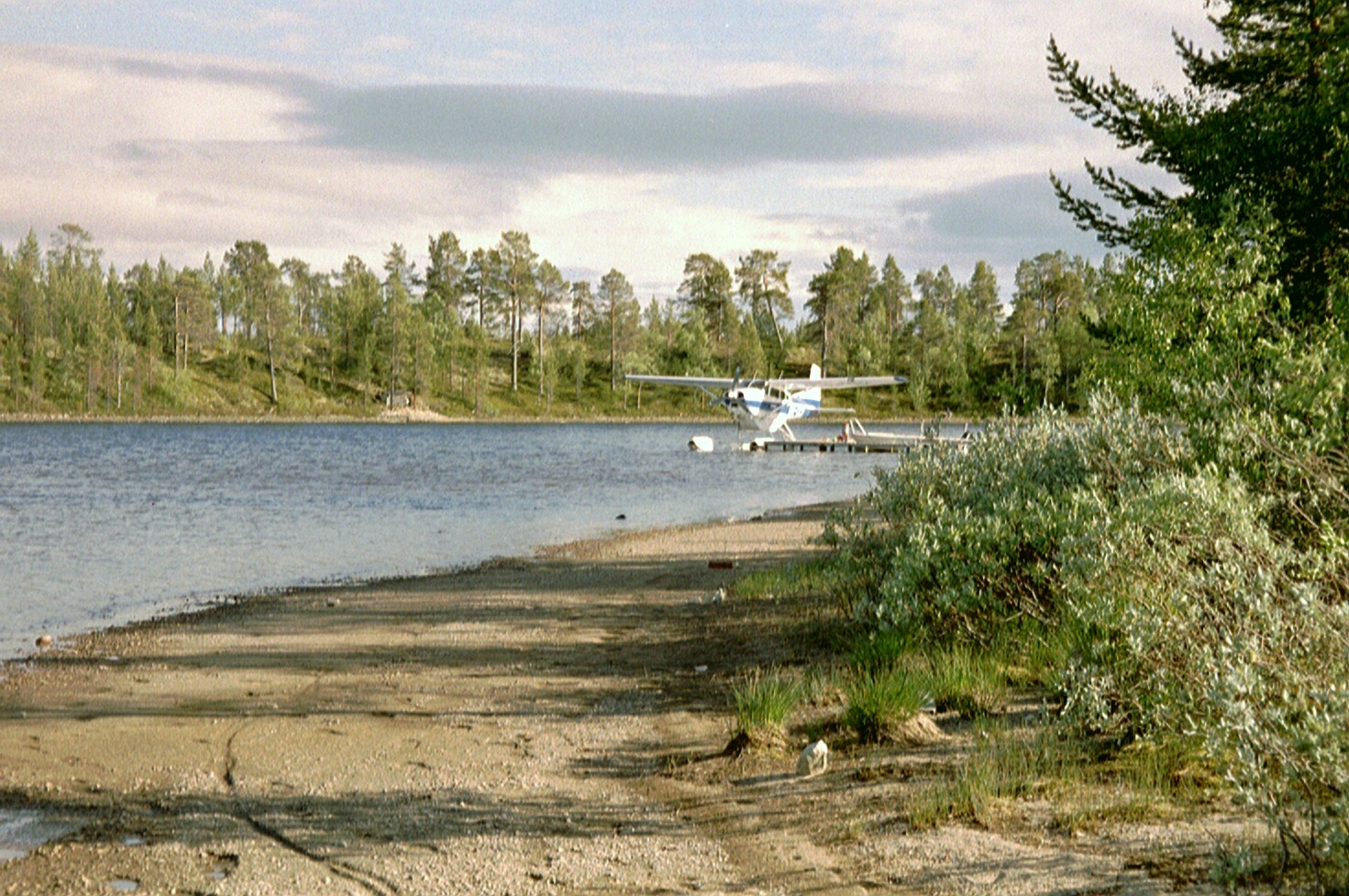 imm003