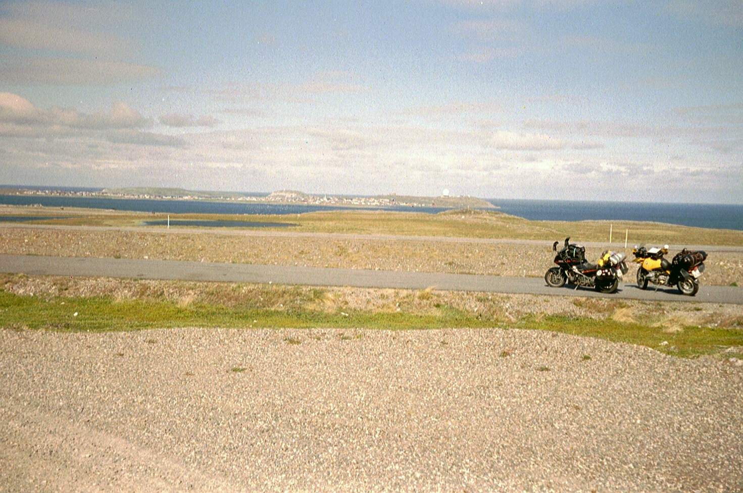 imm009