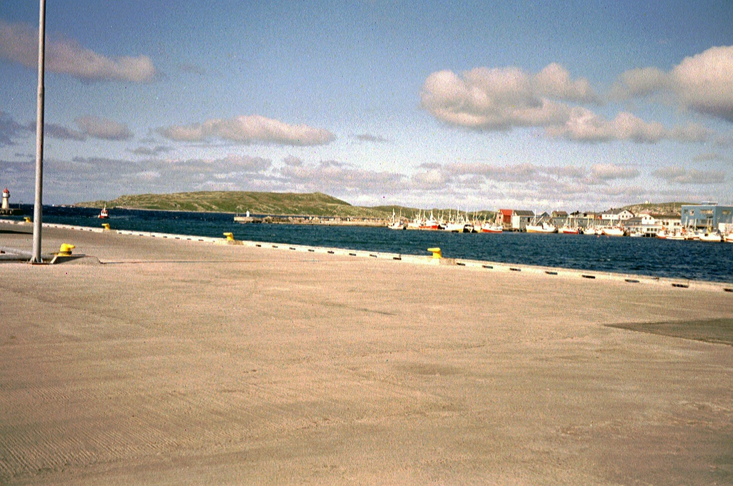 imm014