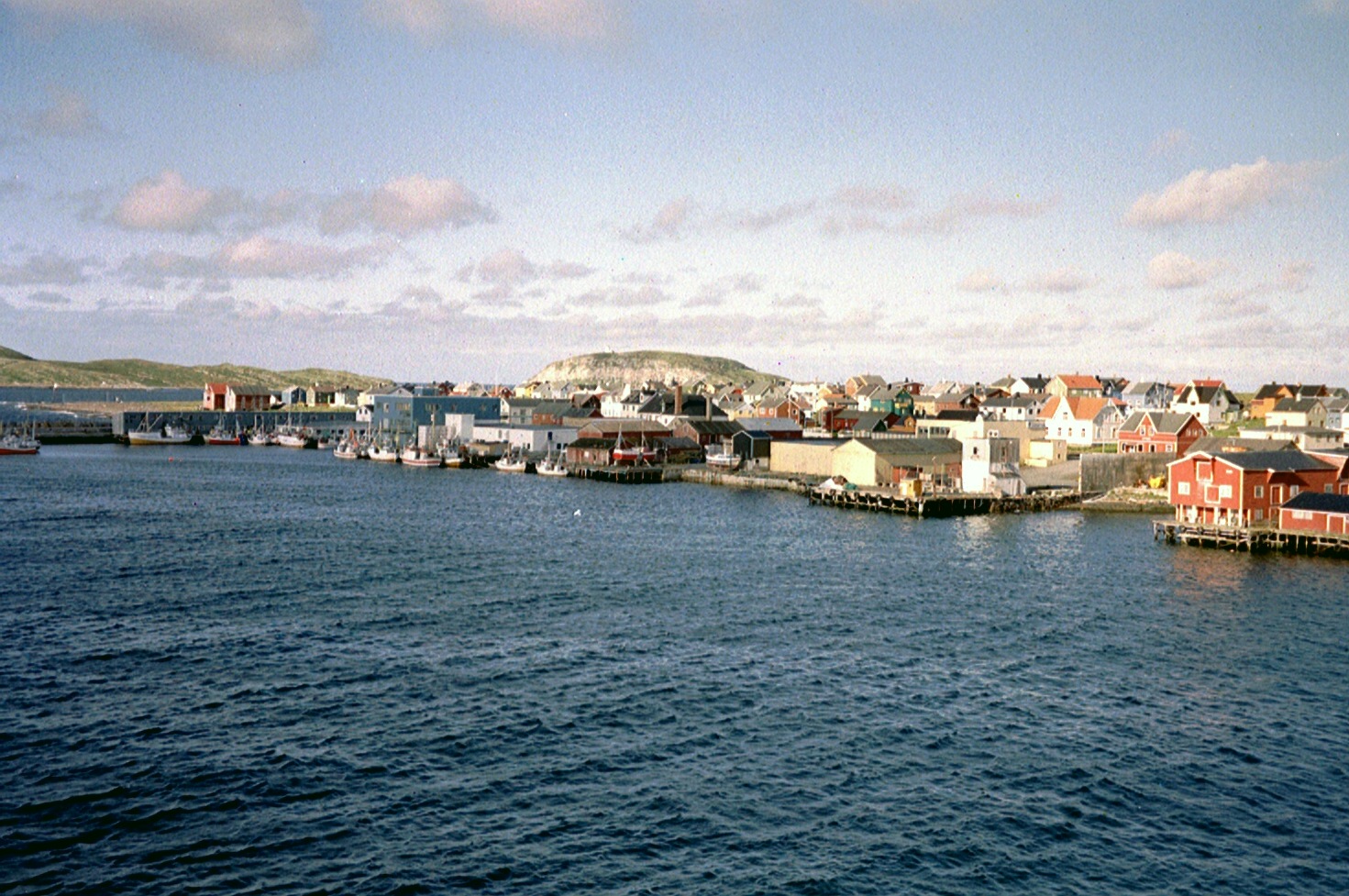 imm018