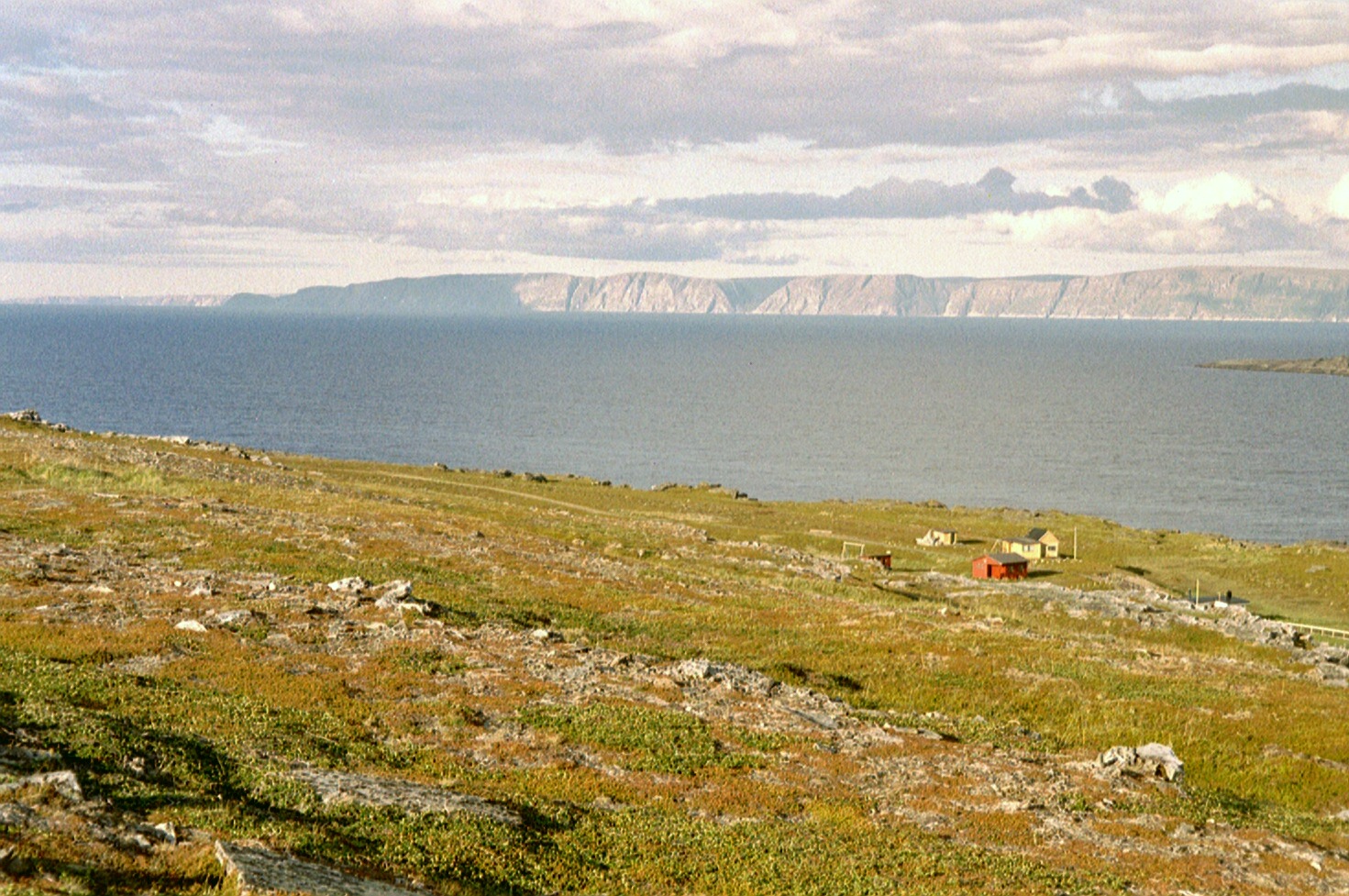 imm035