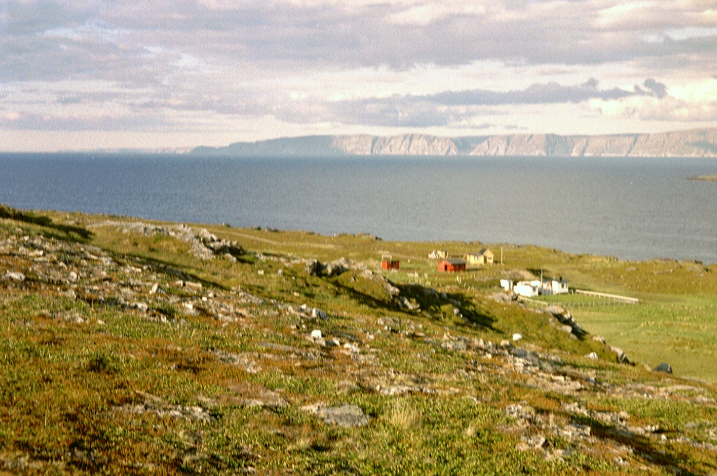 imm036