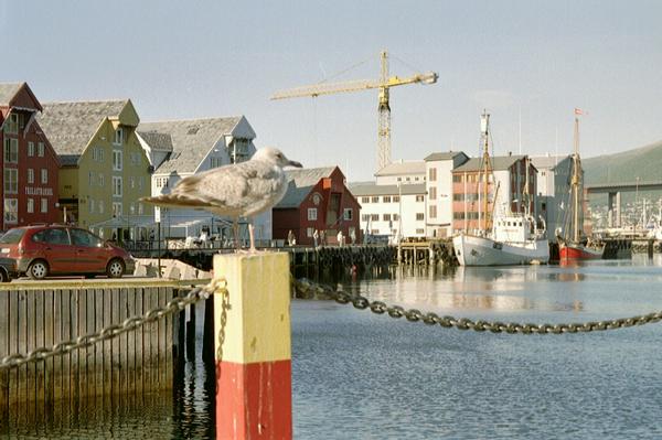 imm038