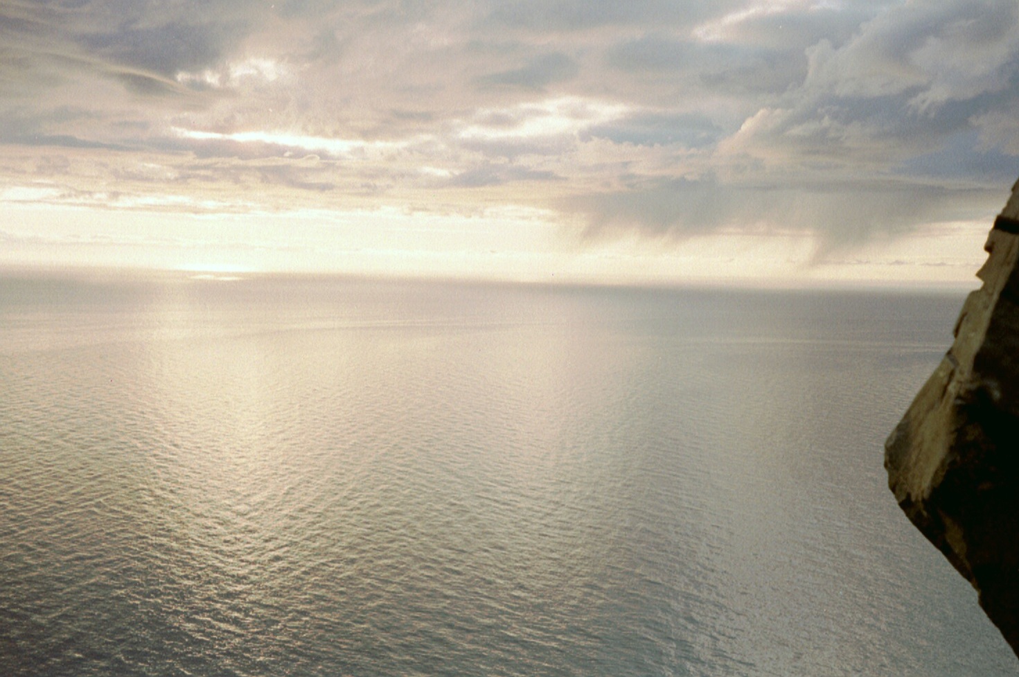 imm006
