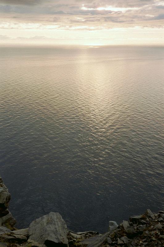 imm008
