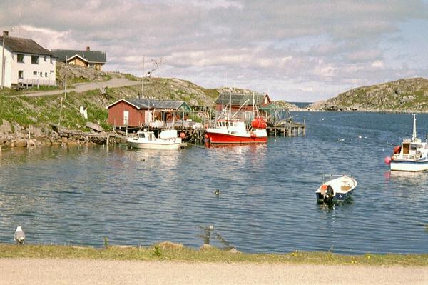 imm023