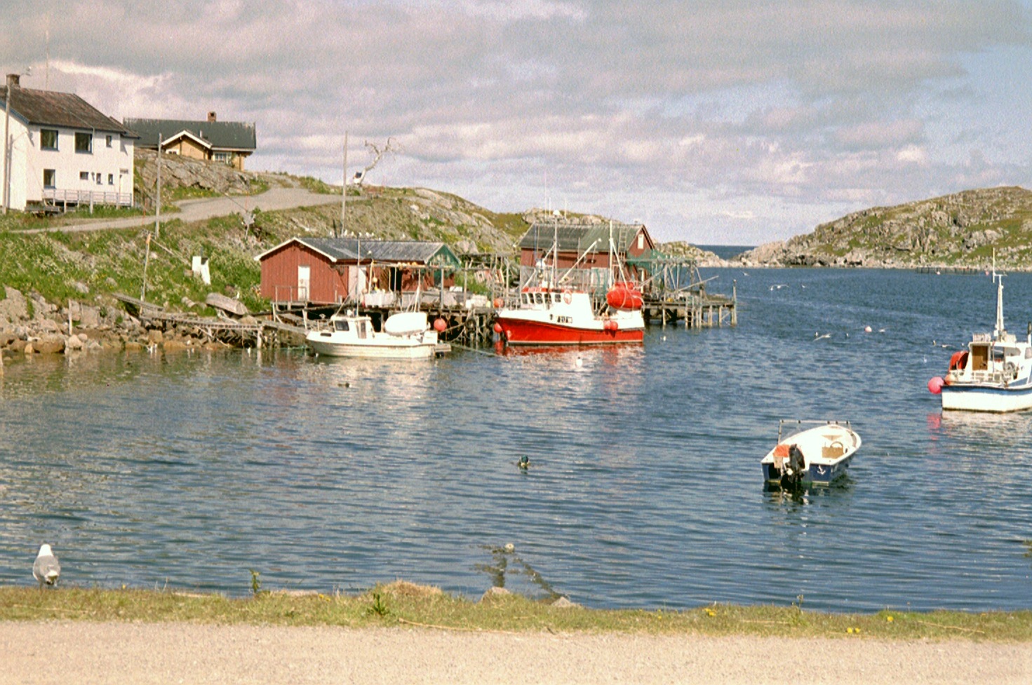 imm023