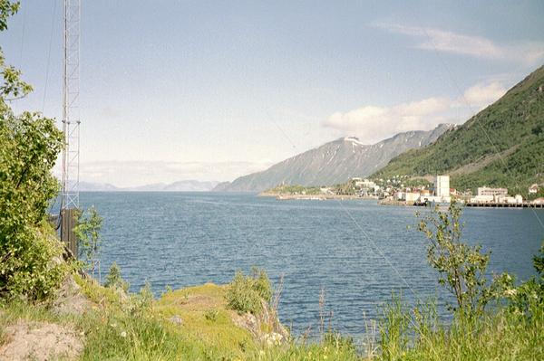 imm029