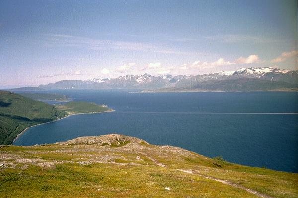 imm030