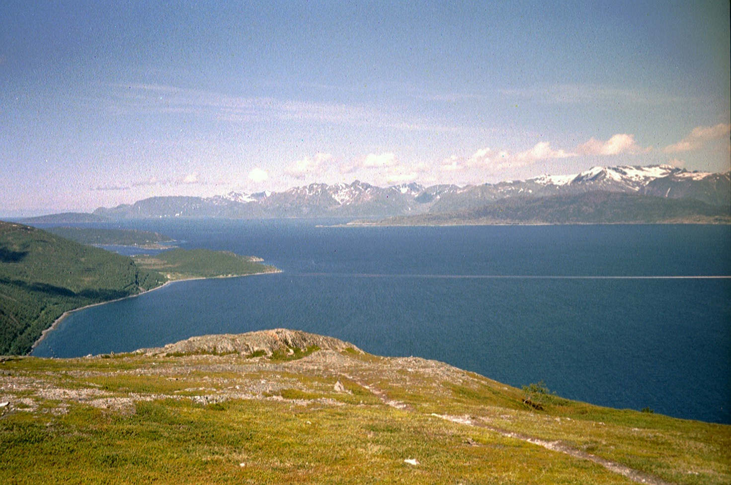imm030