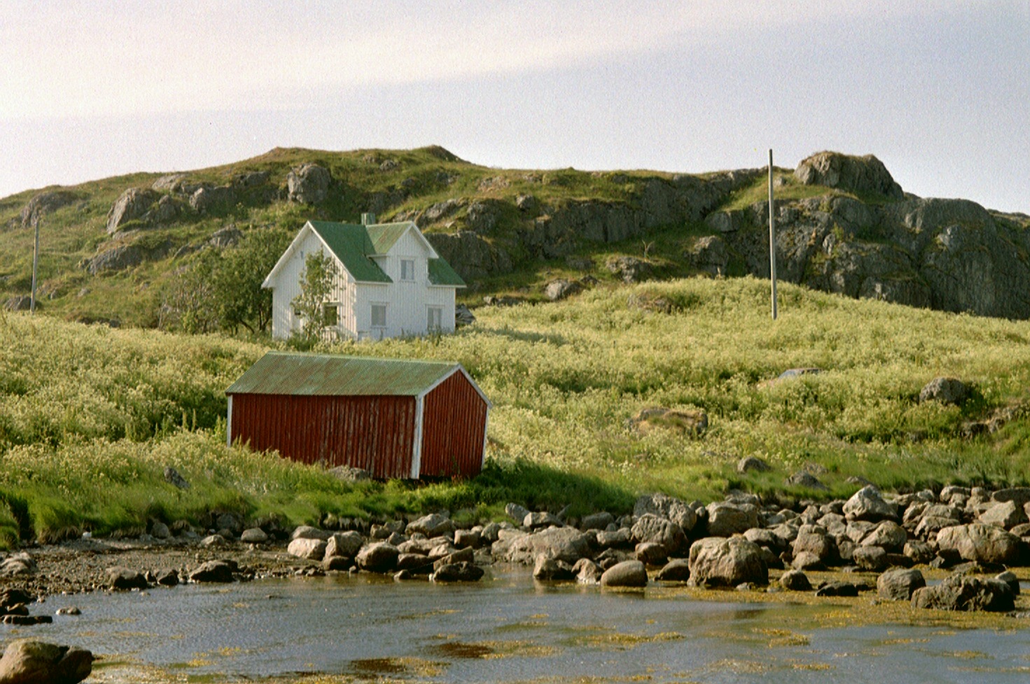 imm010