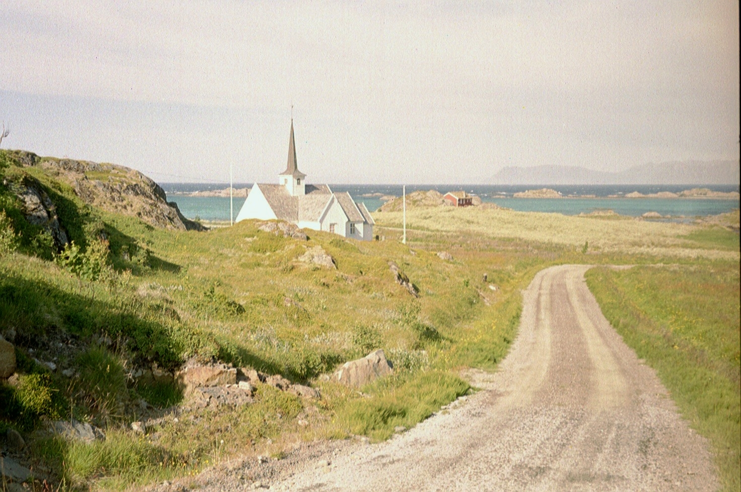imm015