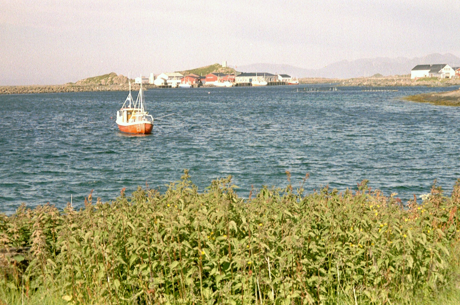 imm016
