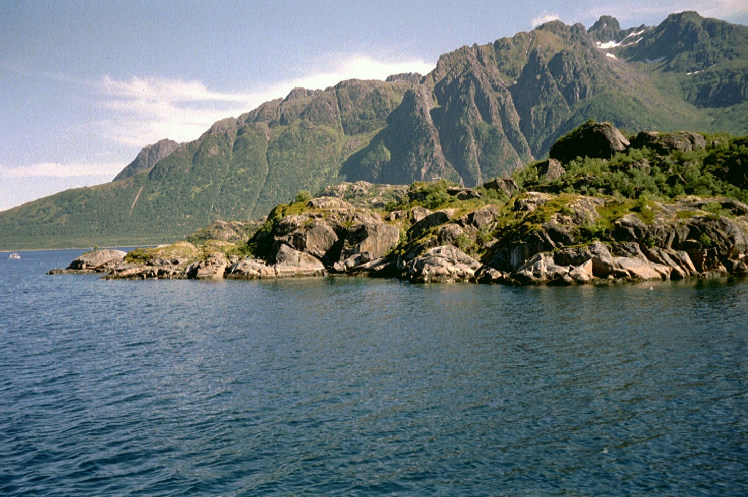 imm018
