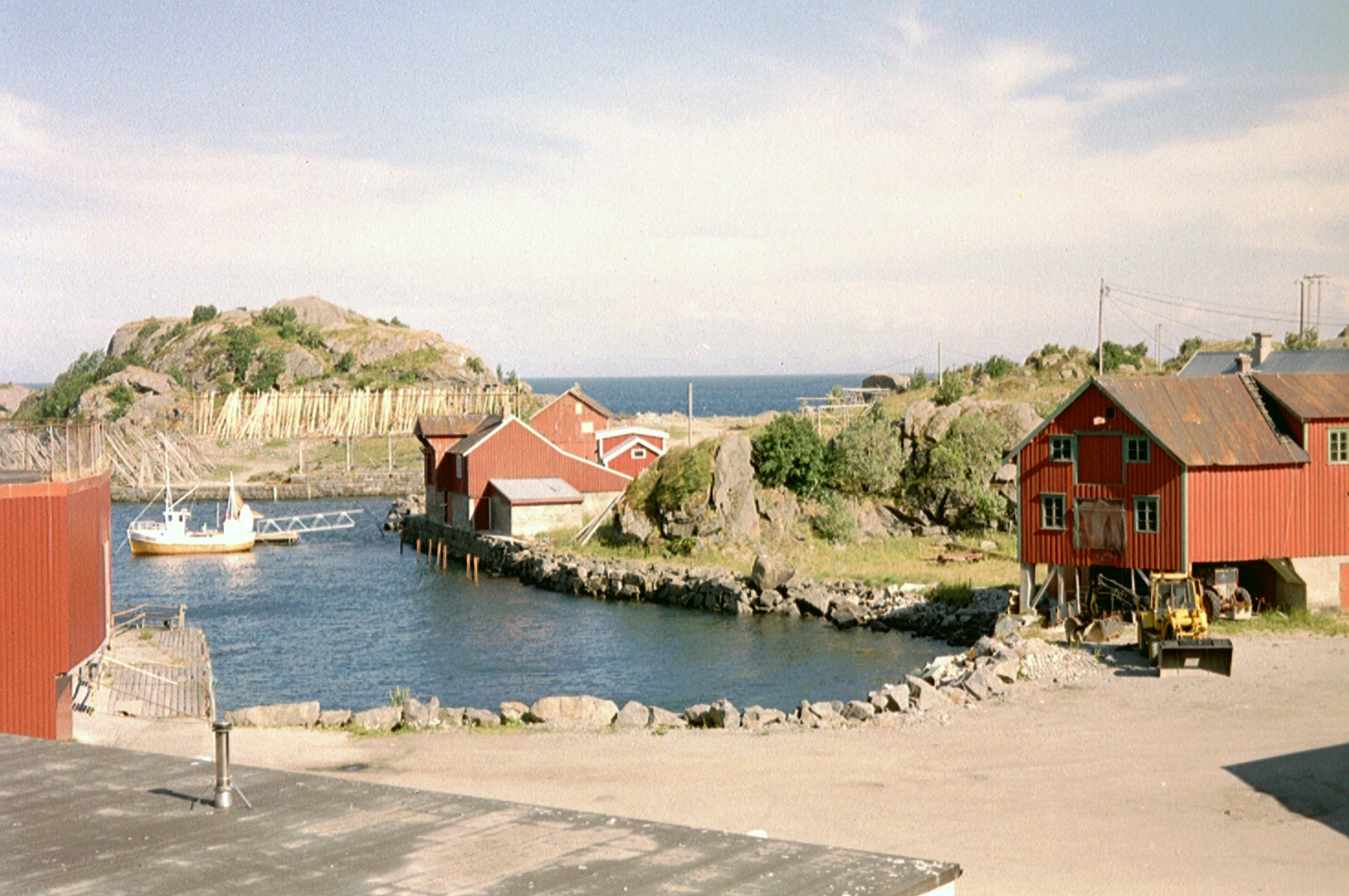 imm019