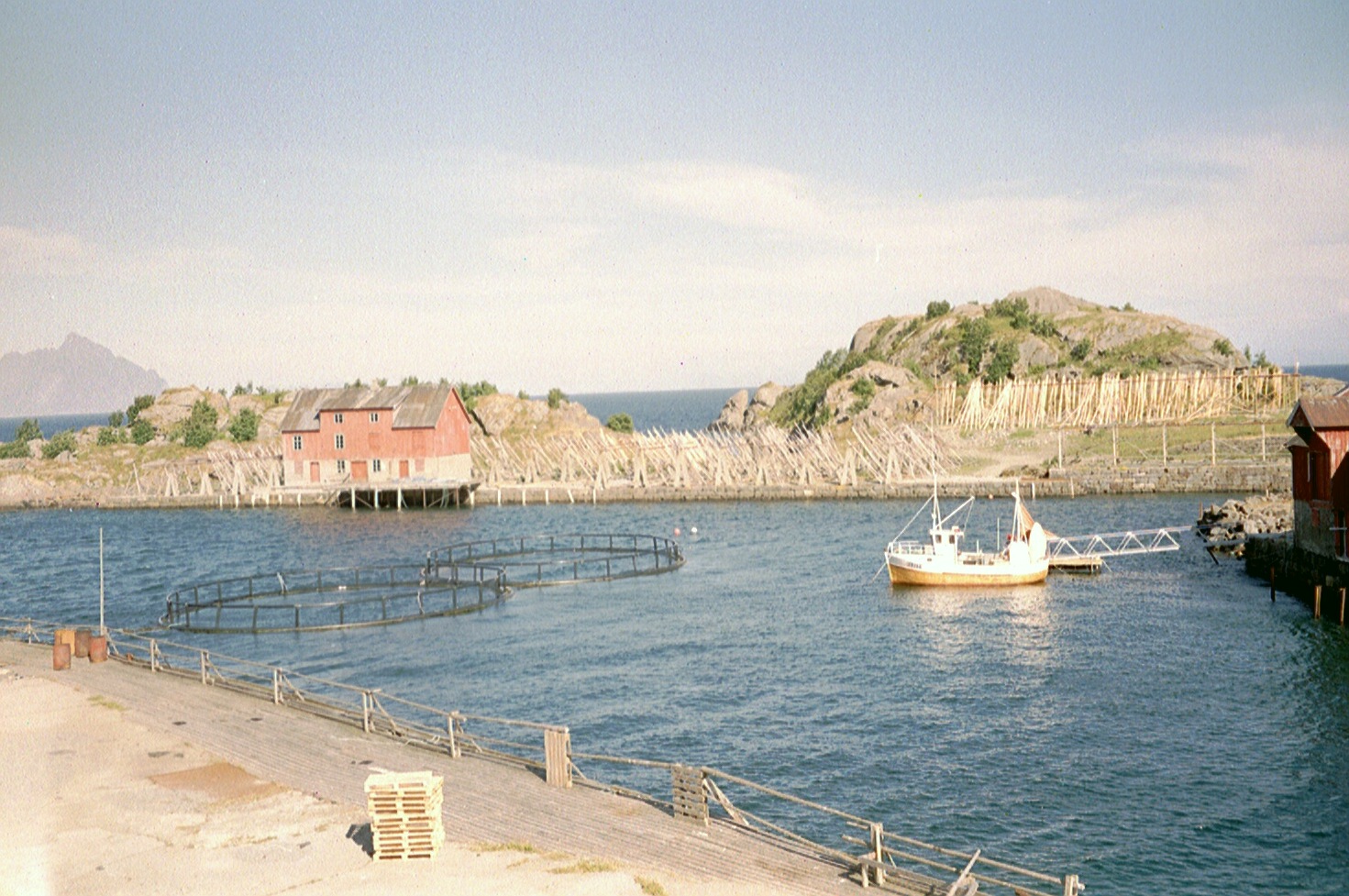 imm020