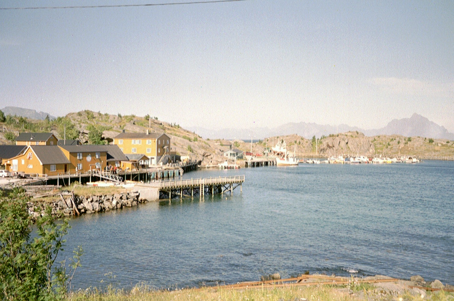 imm021