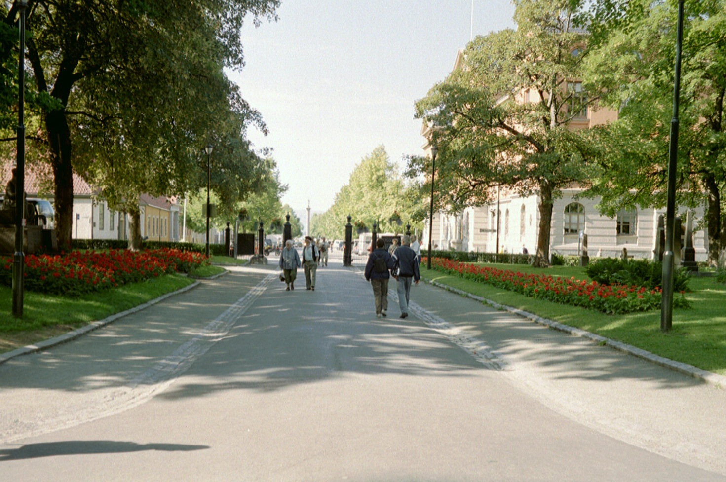 imm036