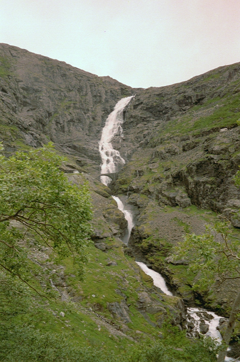 imm006