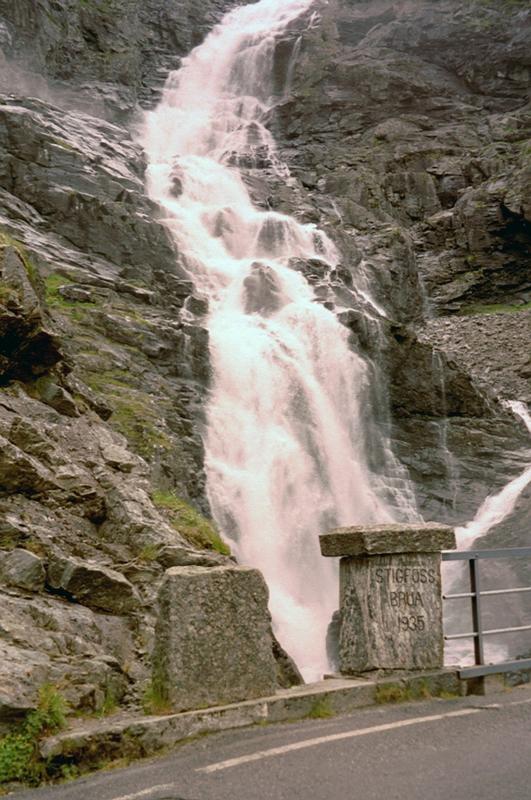 imm007
