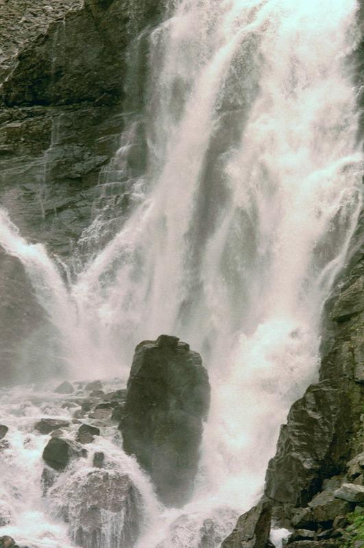 imm011