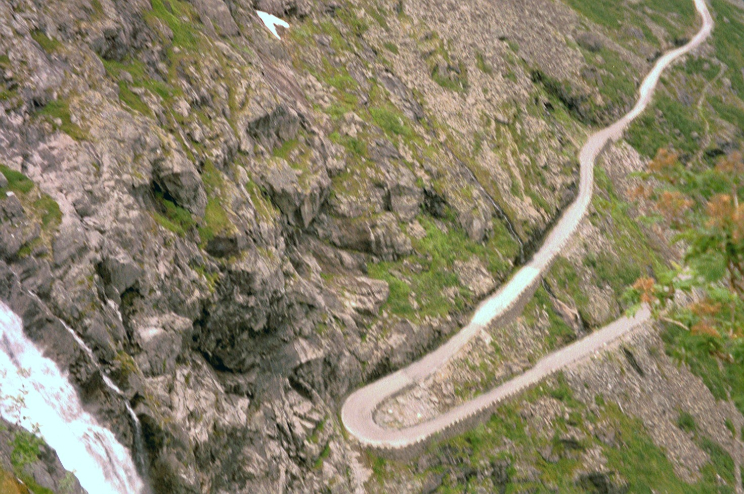 imm013