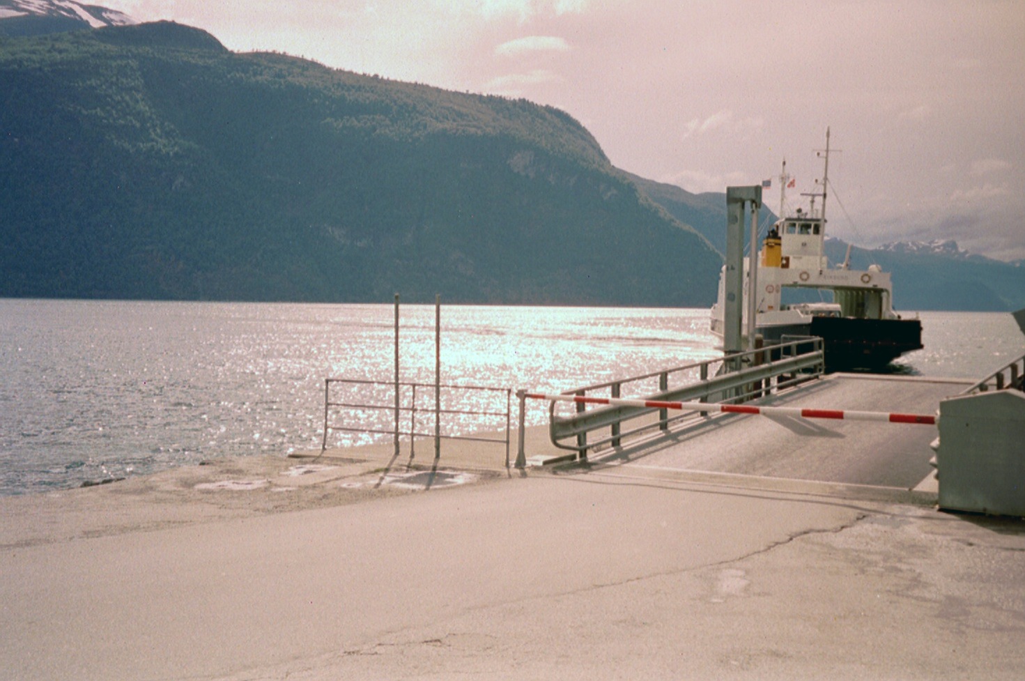 imm015