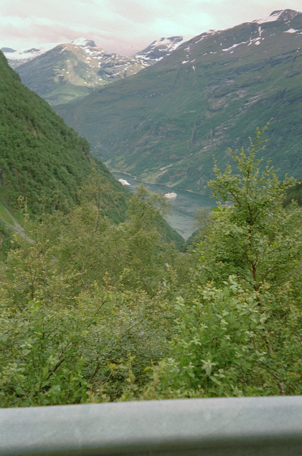 imm016