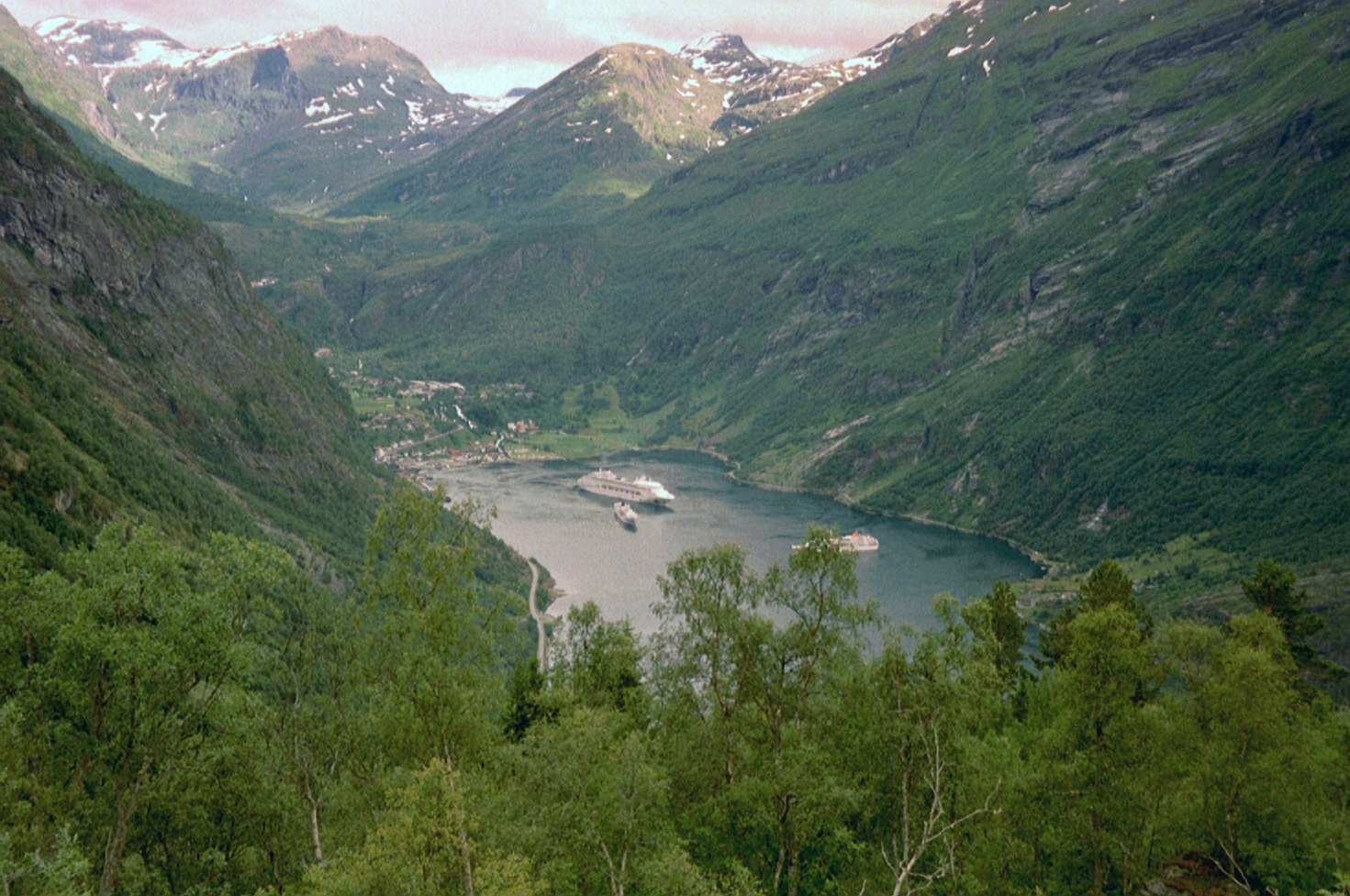 imm017
