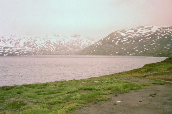 imm021