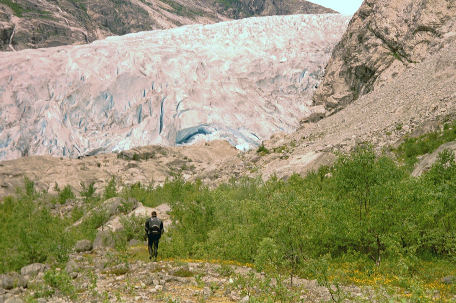 imm024