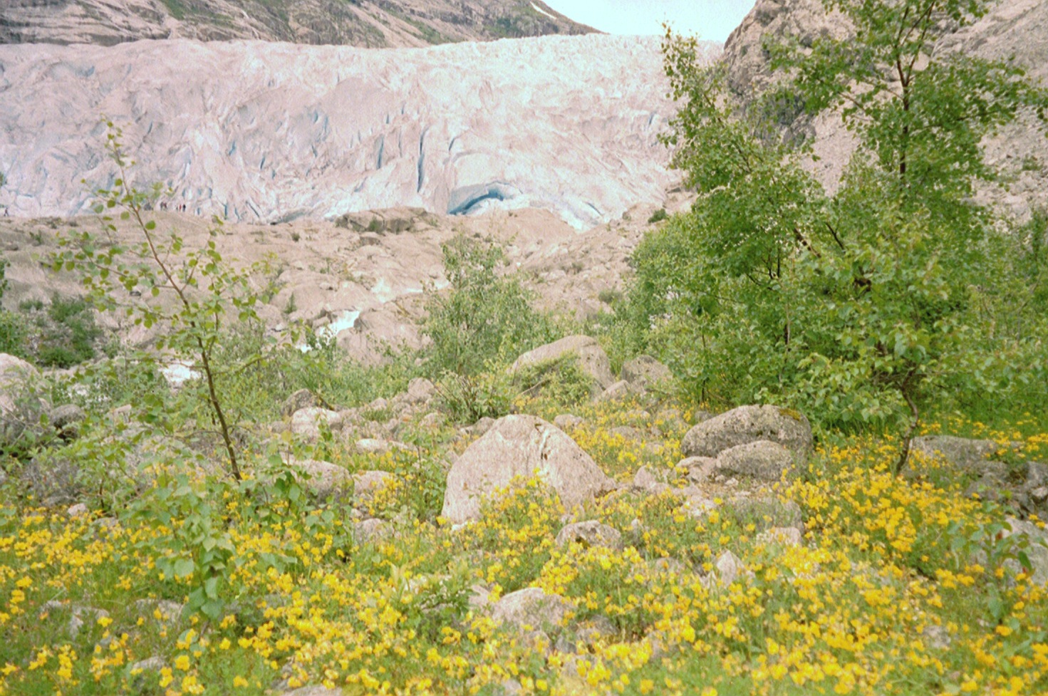 imm025