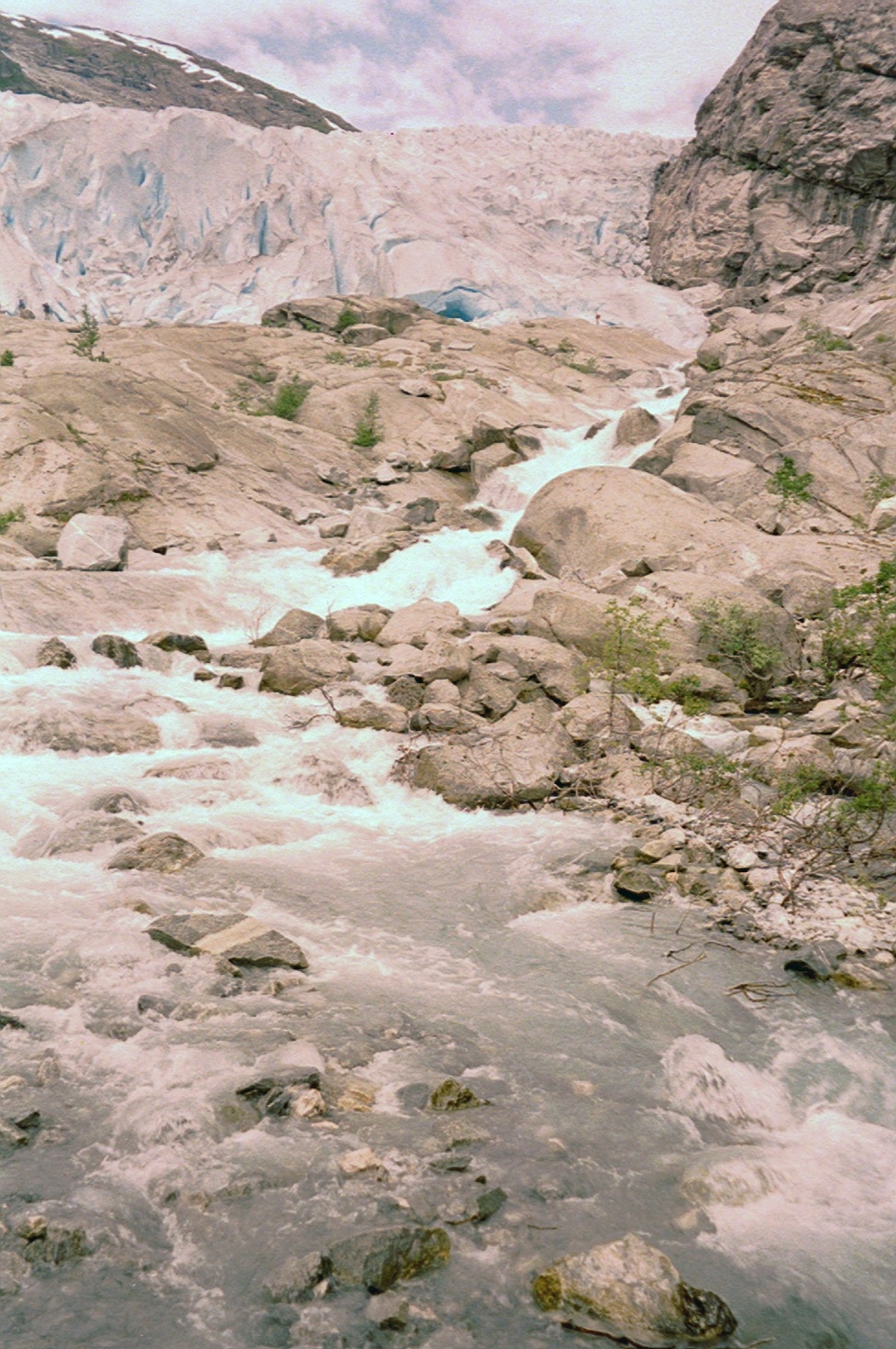 imm026
