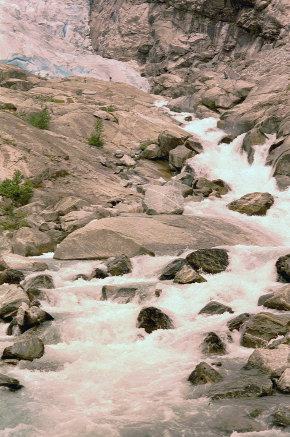 imm027