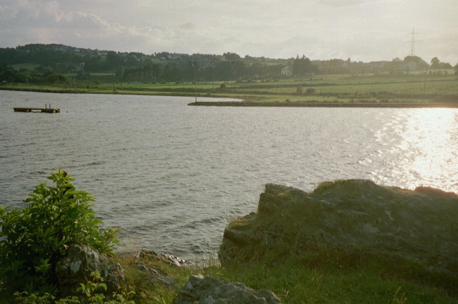 imm030