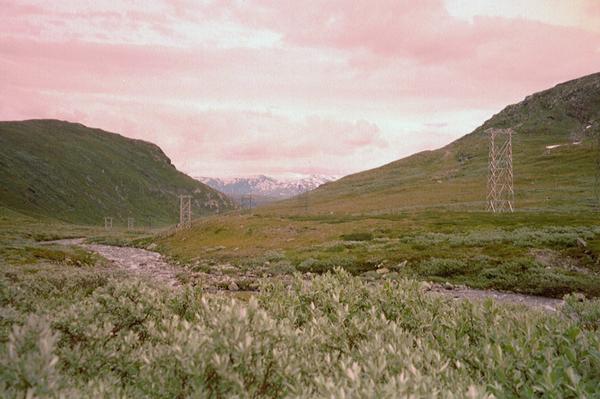 imm006