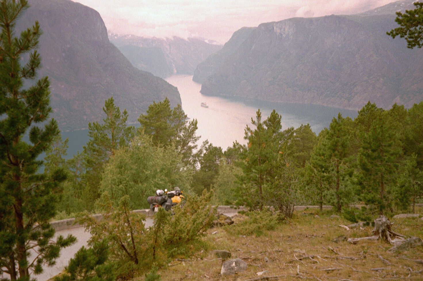 imm011