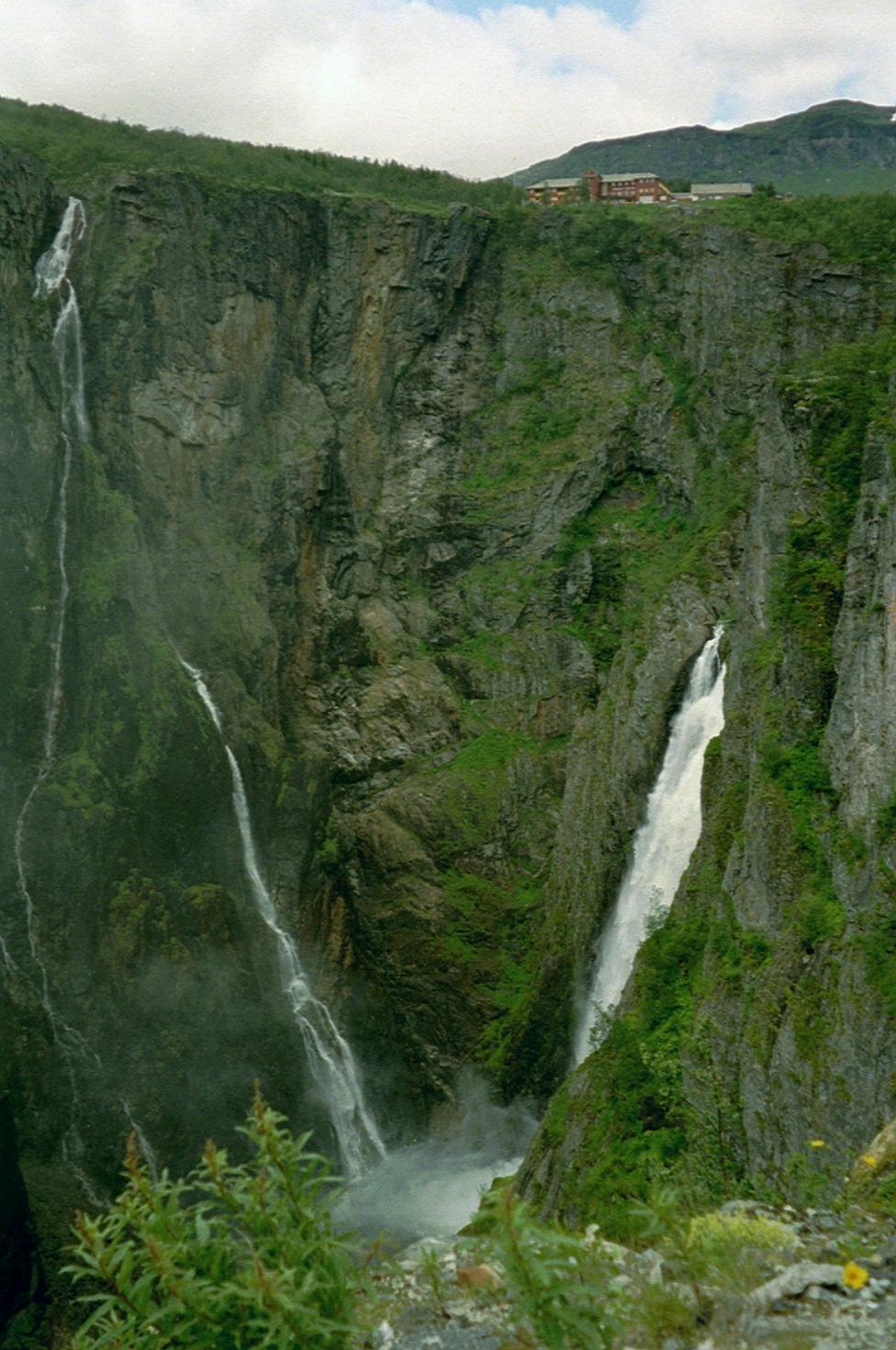 imm016