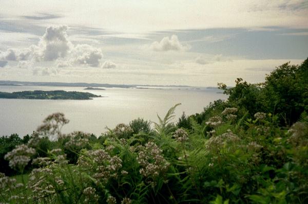 imm022