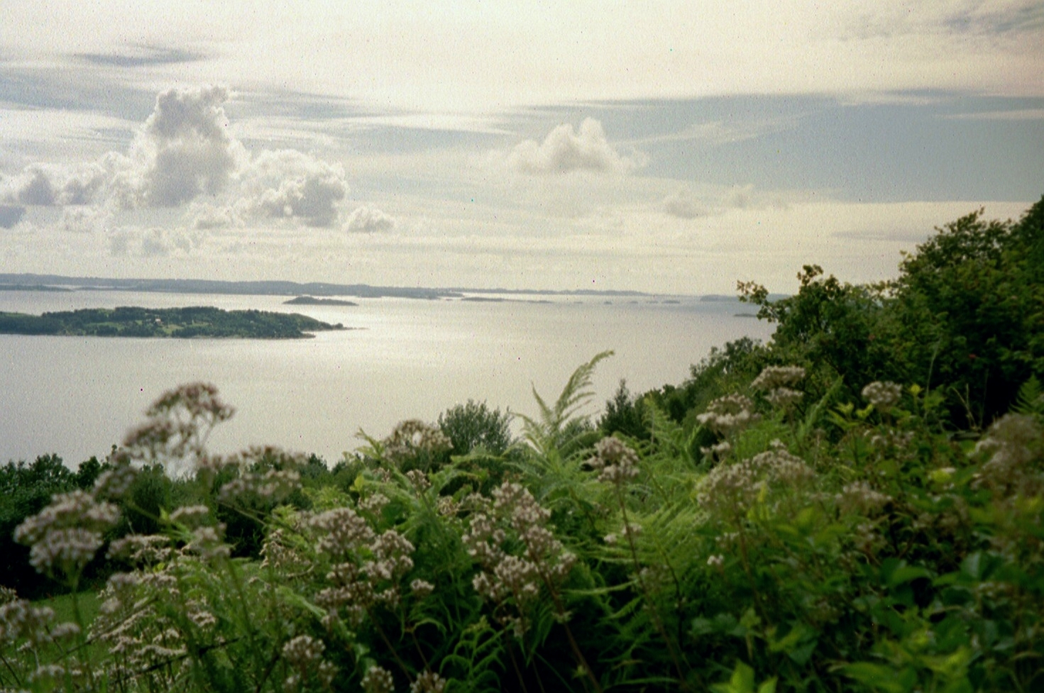 imm022